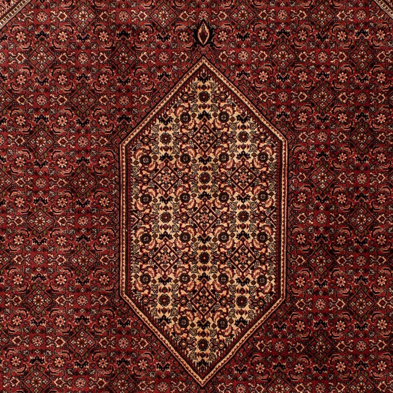 Persisk tæppe - Bijar - 293 x 200 cm - brun