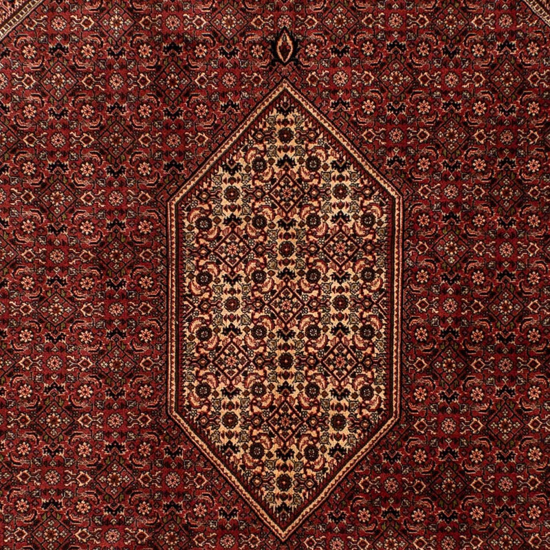 Persisk tæppe - Bijar - 293 x 200 cm - brun