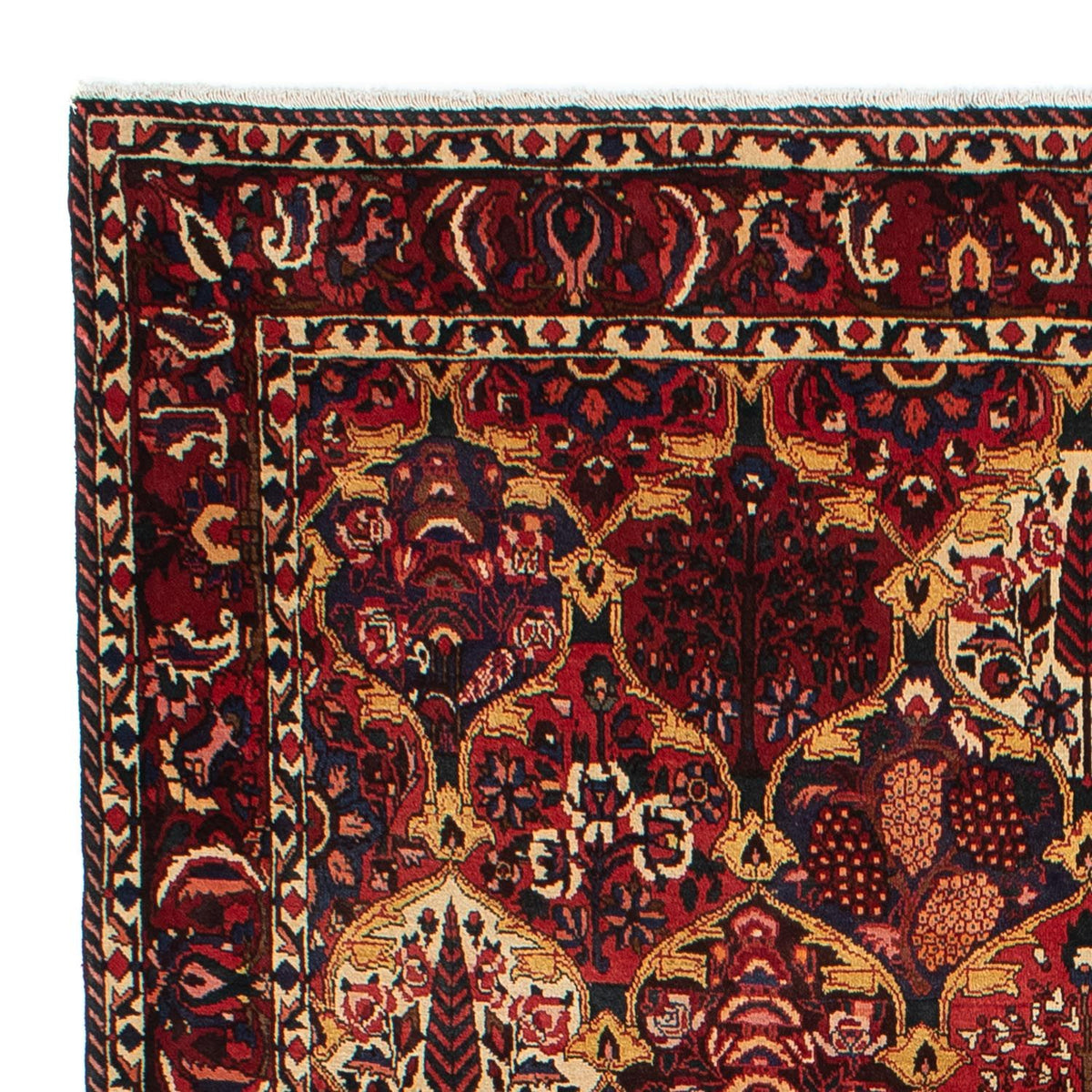 Bakhtiari Tæppe 211x305cm - Persisk tæppe