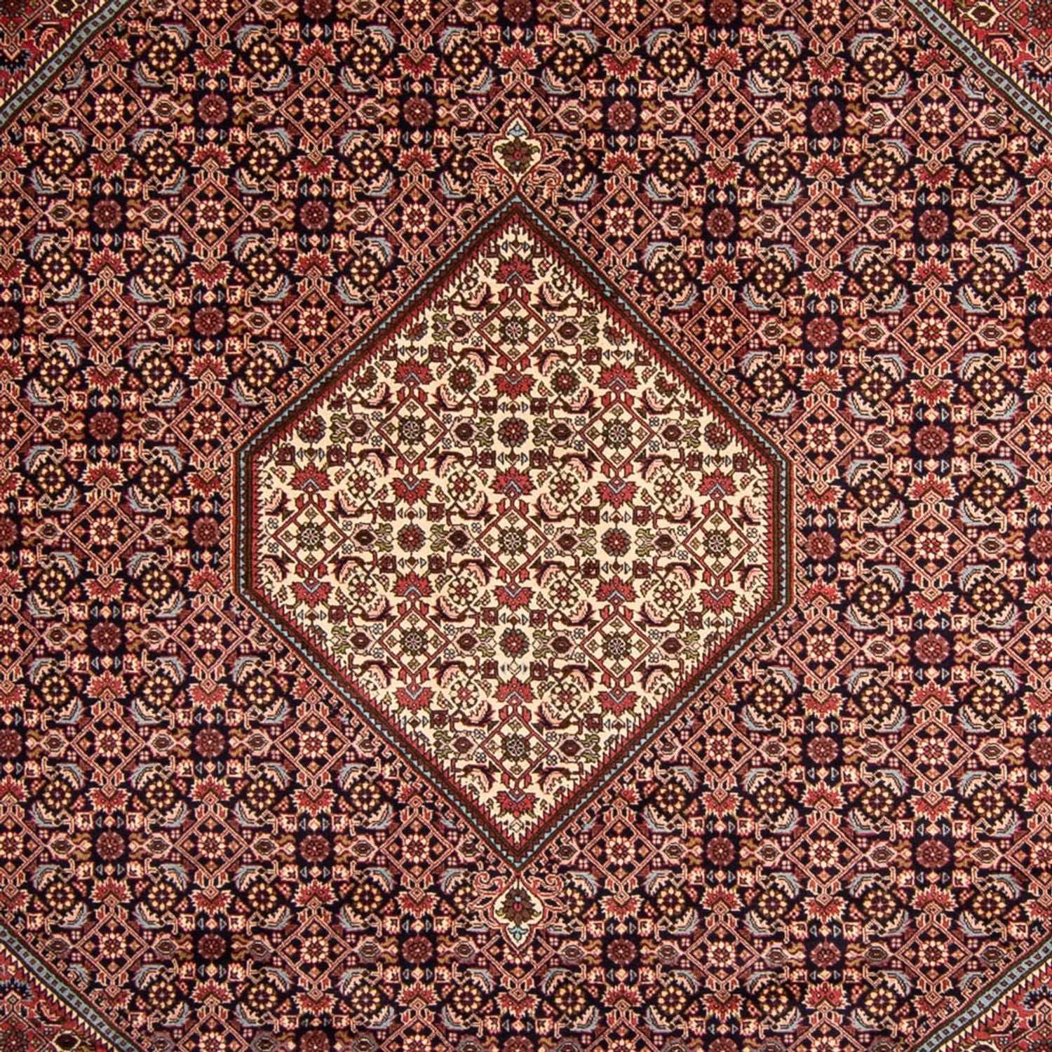 Persisk tæppe - Bijar - 340 x 252 cm - brun