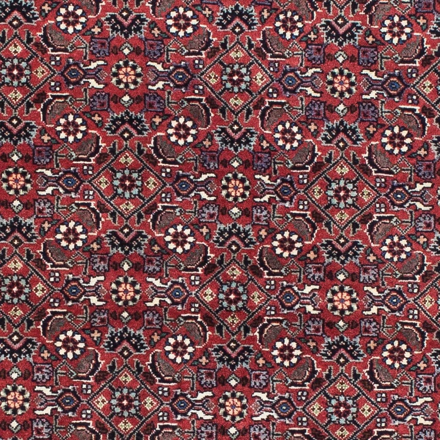 Persisk tæppe - Bijar - 193 x 176 cm - rød