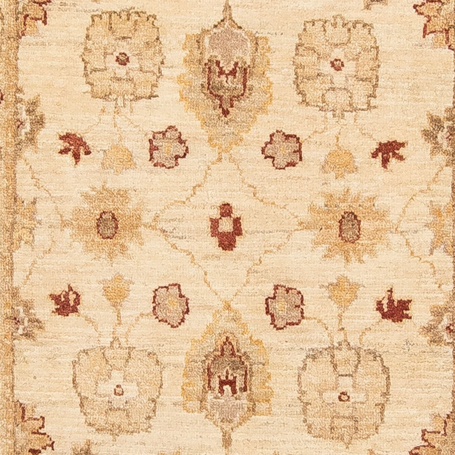 Løber Ziegler Carpet - 318 x 81 cm - beige