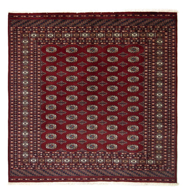Afghansk tæppe - Bukhara firkantet  - 203 x 199 cm - rød