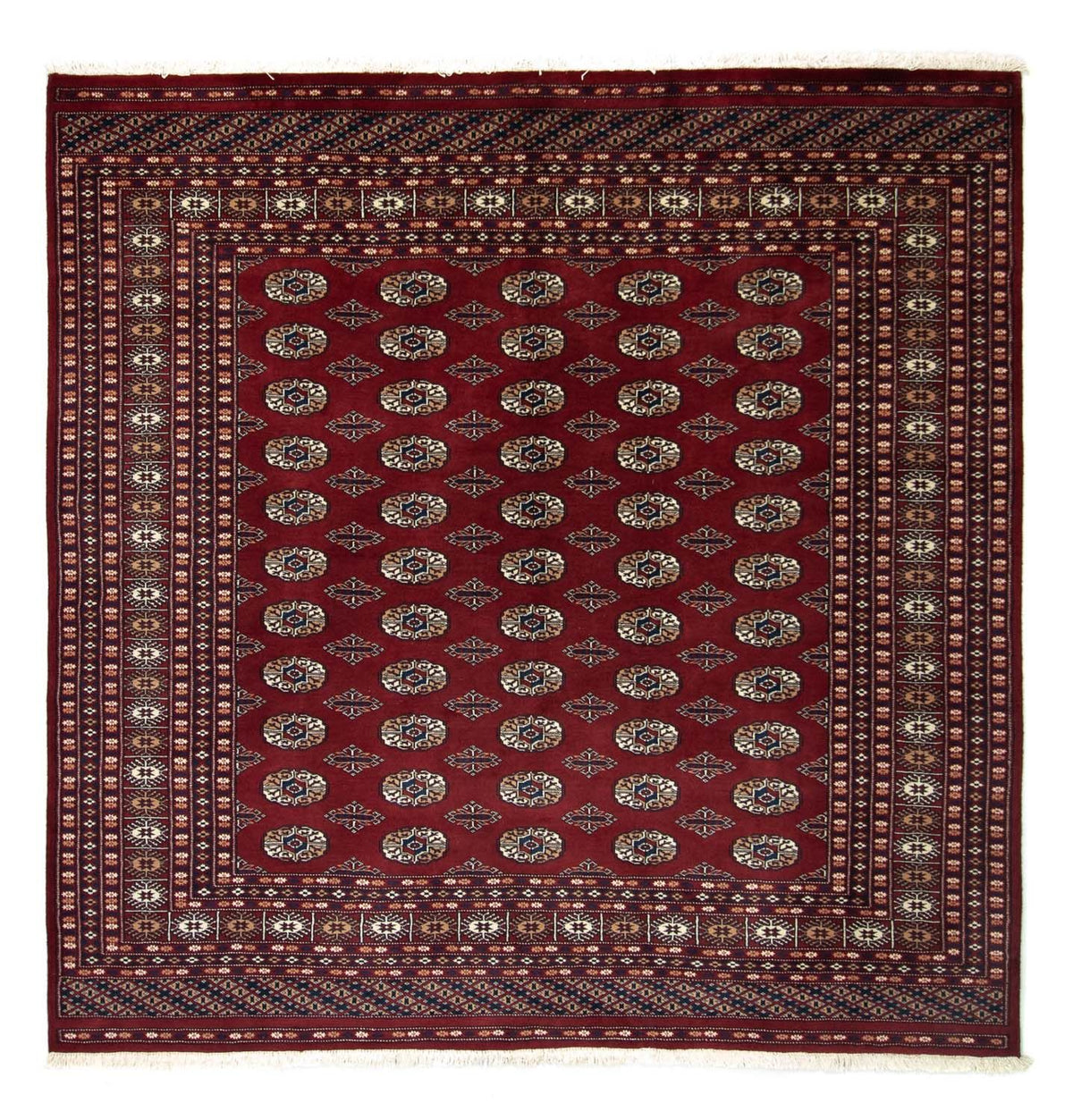 Afghansk tæppe - Bukhara firkantet  - 203 x 199 cm - rød