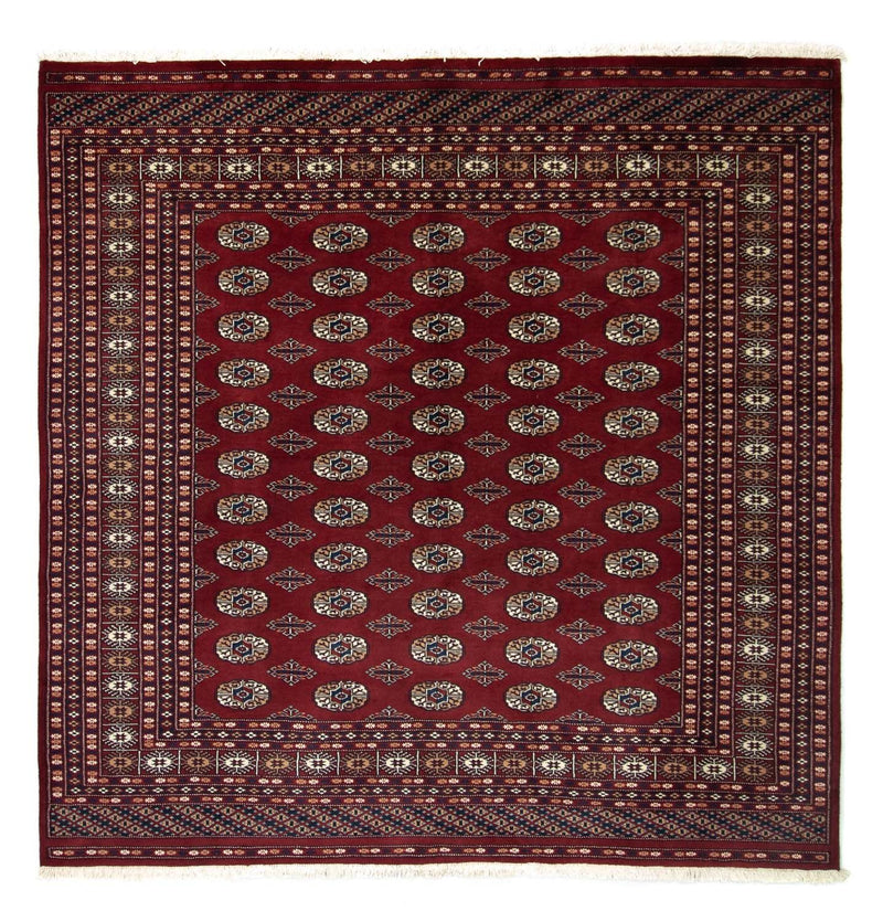 Afghansk tæppe - Bukhara firkantet  - 203 x 199 cm - rød