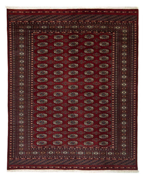 Afghansk tæppe - Bukhara - 244 x 198 cm - rød