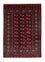 Afghansk tæppe - Bukhara - 177 x 125 cm - rød
