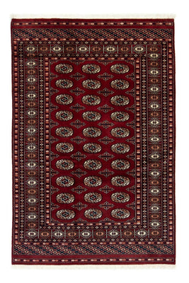 Afghansk tæppe - Bukhara - 186 x 121 cm - rød