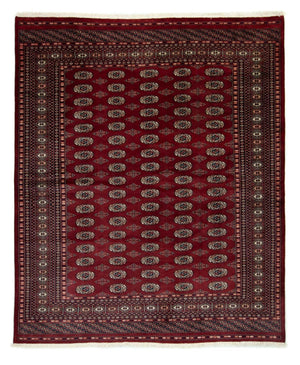 Afghansk tæppe - Bukhara - 247 x 201 cm - rød