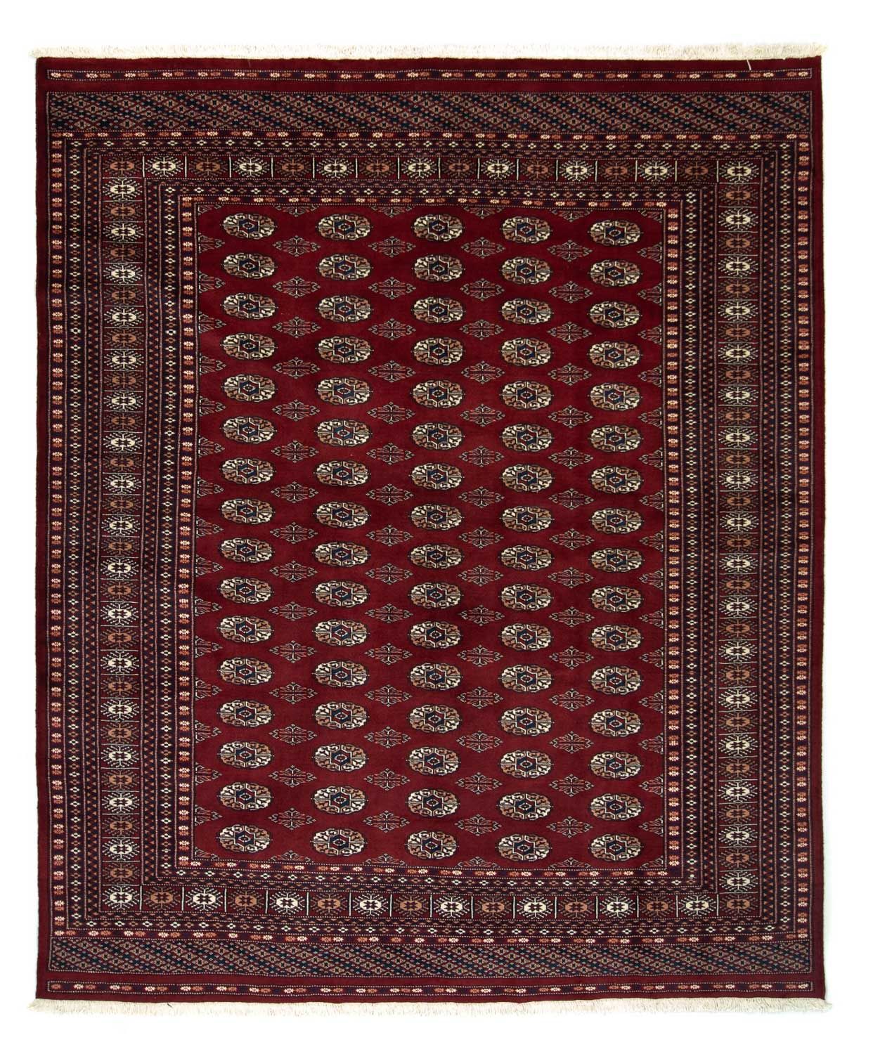 Afghansk tæppe - Bukhara - 238 x 200 cm - rød
