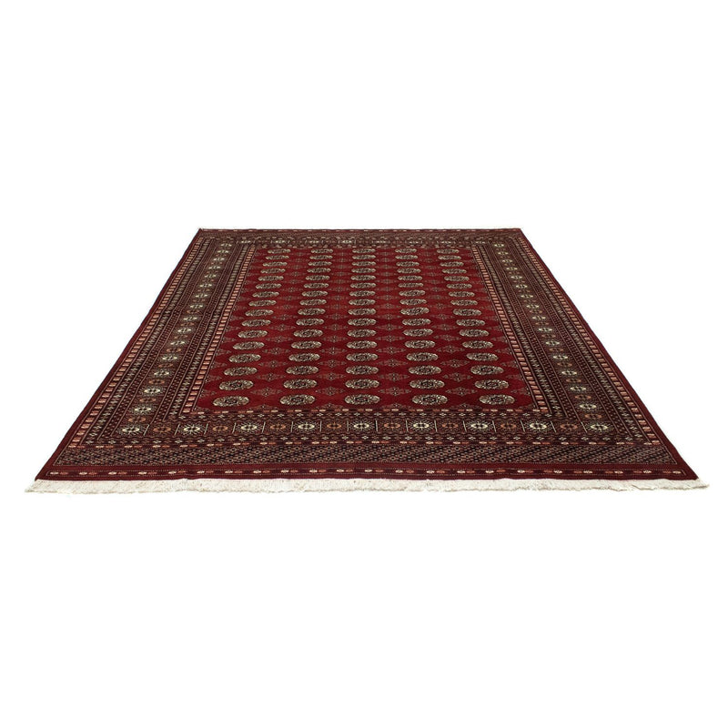 Afghansk tæppe - Bukhara - 238 x 200 cm - rød