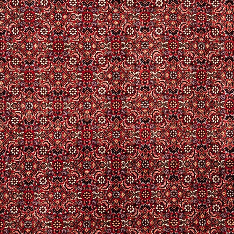 Persisk tæppe - Bijar - Royal - 350 x 252 cm - rød