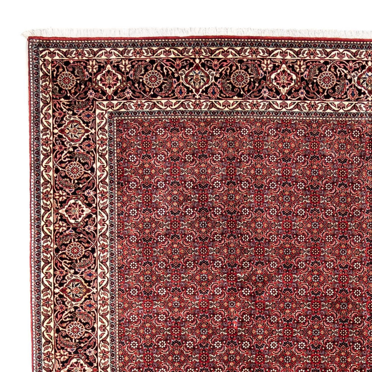 Persisk tæppe - Bijar - Royal - 350 x 252 cm - rød