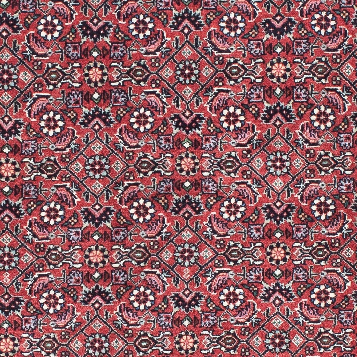 Løber Persisk tæppe - Bijar - 193 x 76 cm - rød