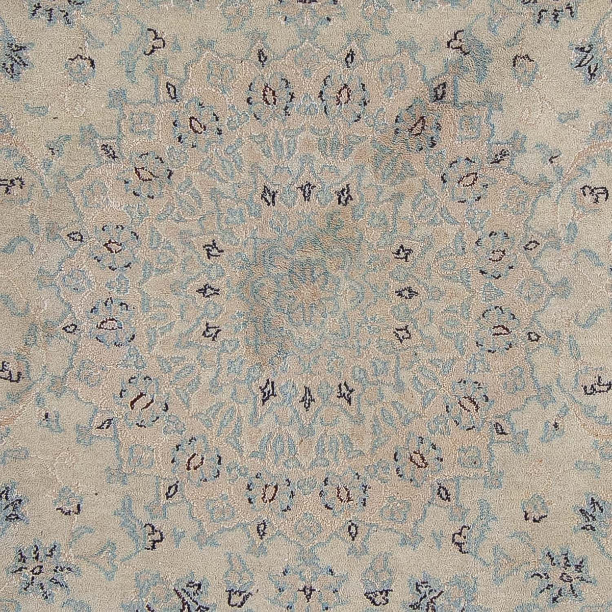 Persisk tæppe - Nain - 350 x 248 cm - lys brun