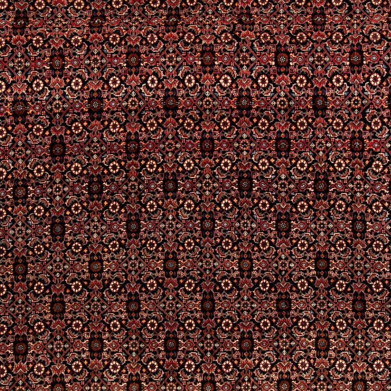 Persisk tæppe - Bijar firkantet  - 208 x 197 cm - brun