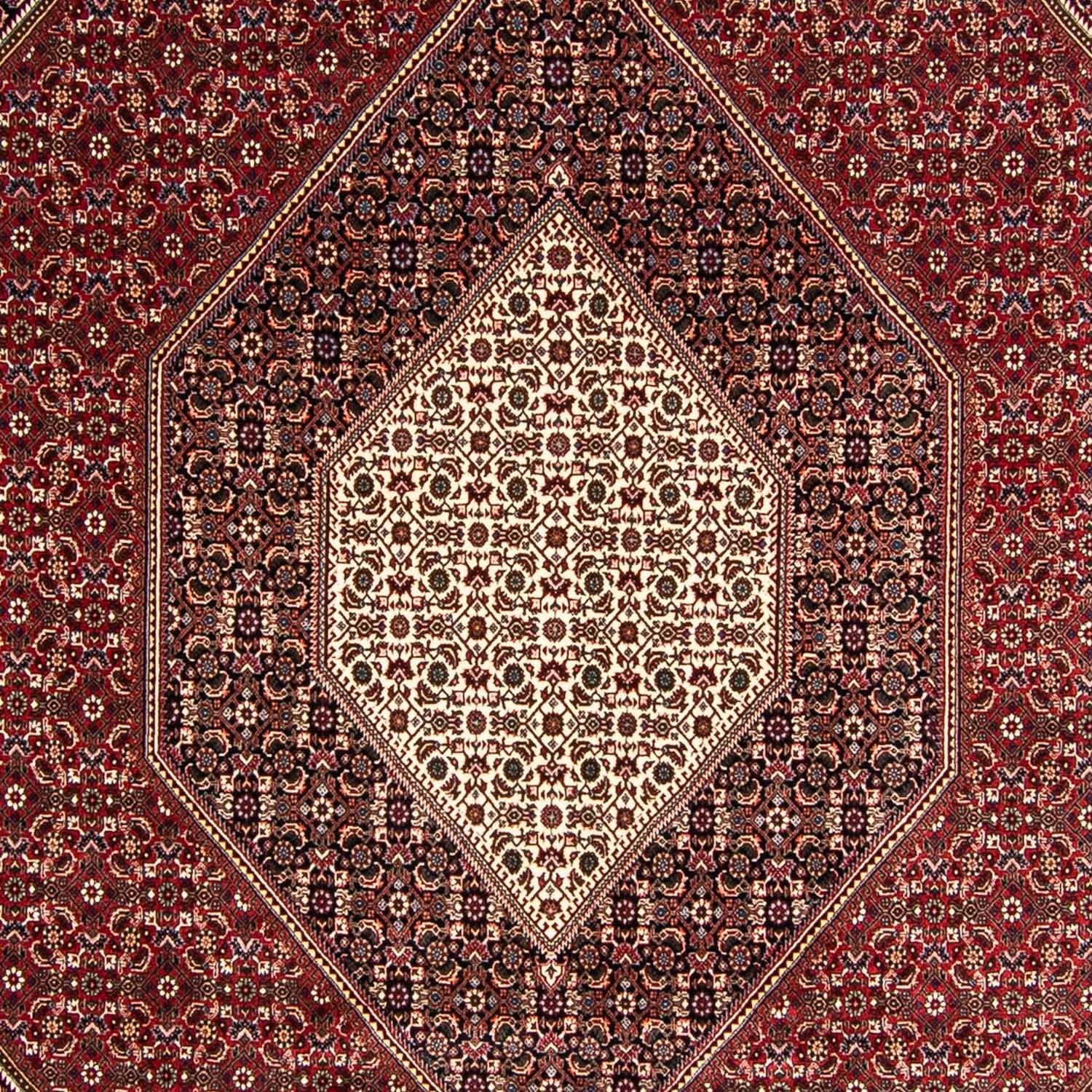 Persisk tæppe - Bijar - 349 x 245 cm - lysrød