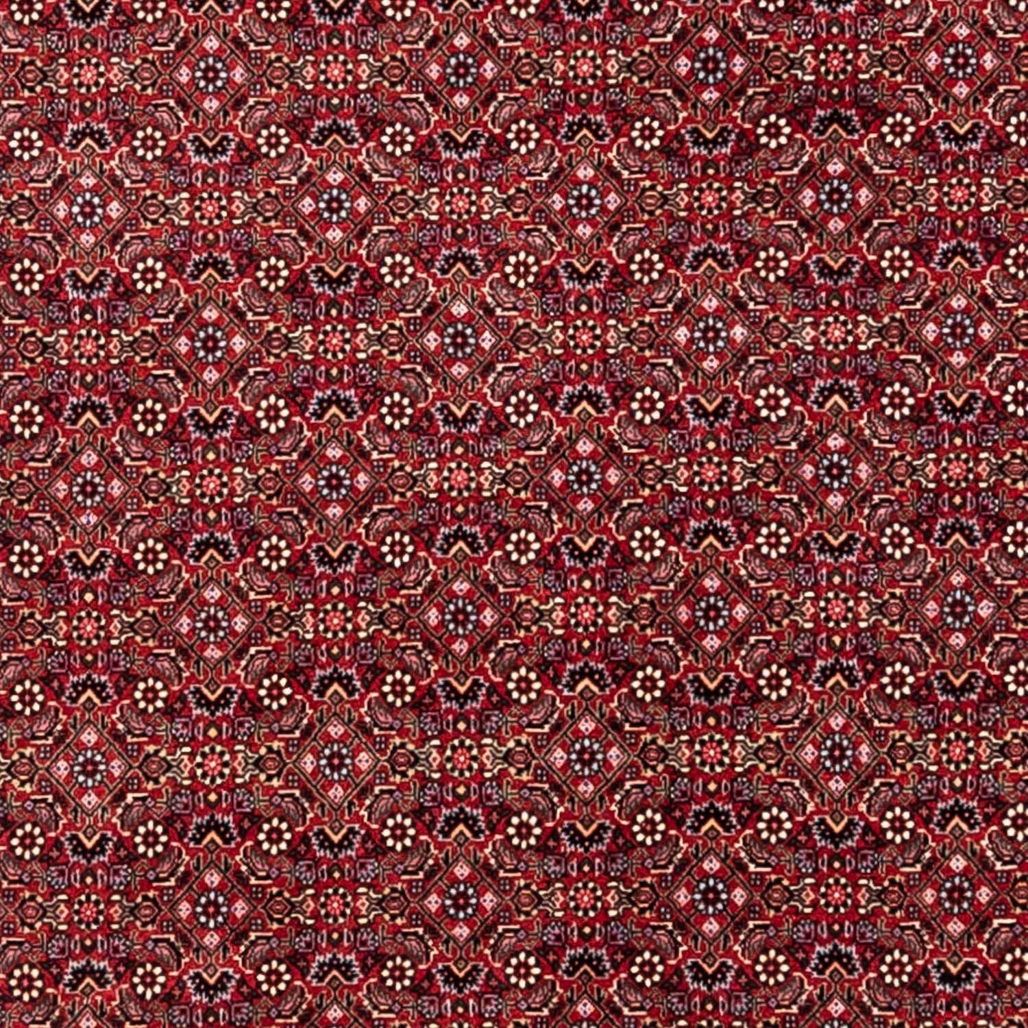 Persisk tæppe - Bijar - Royal - 338 x 252 cm - rød