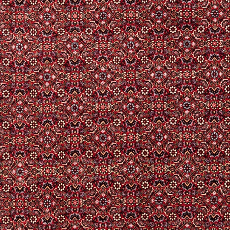 Persisk tæppe - Bijar - Royal - 338 x 252 cm - rød