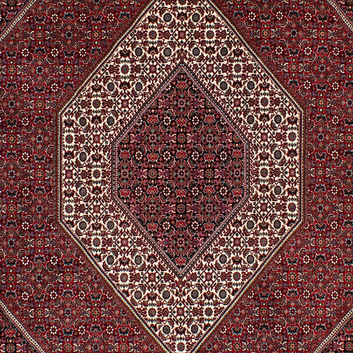 Persisk tæppe - Bijar - 295 x 202 cm - mørkerød