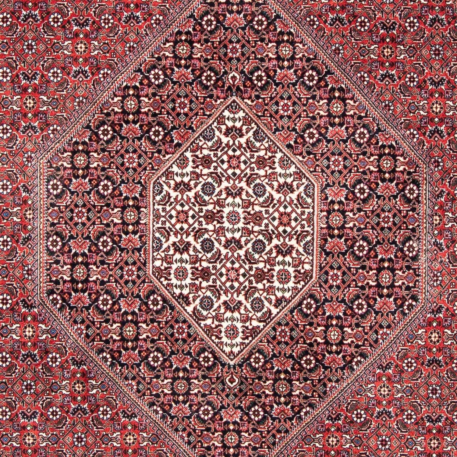 Persisk tæppe - Bijar - 253 x 174 cm - lysrød