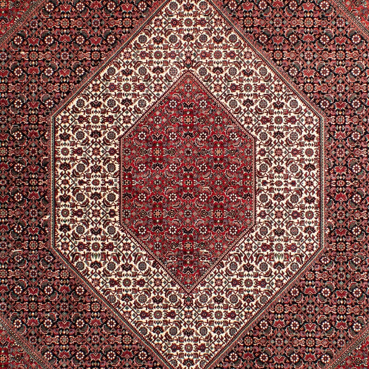 Persisk tæppe - Bijar - 293 x 203 cm - lysrød
