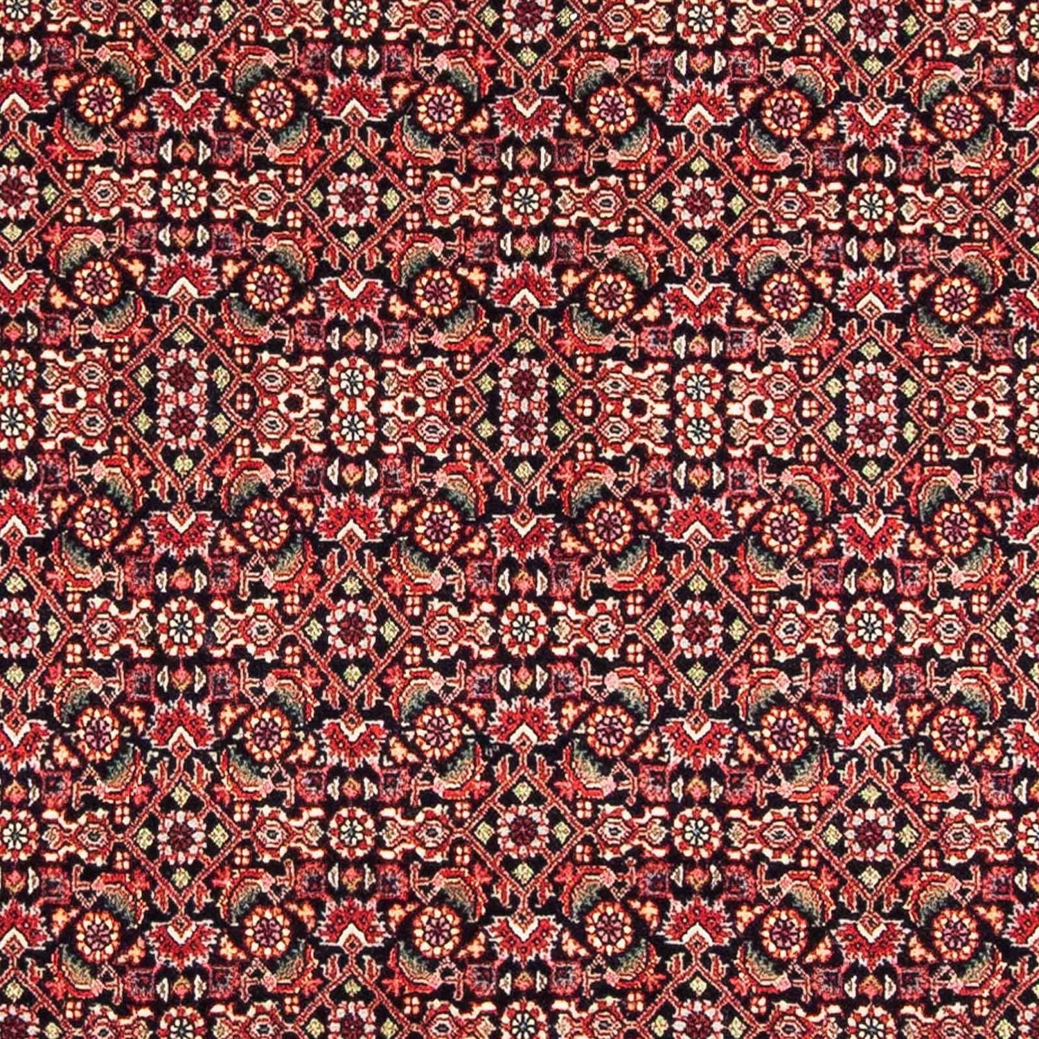Persisk tæppe - Bijar - 170 x 108 cm - mørkeblå