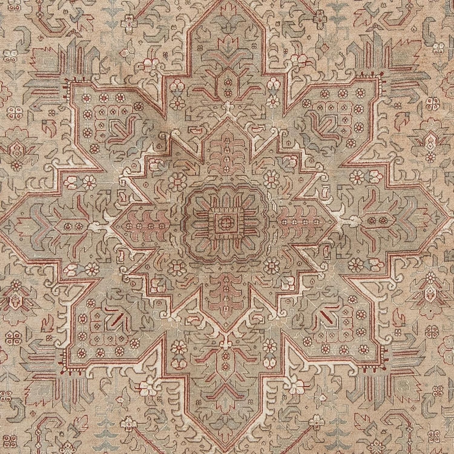 Persisk tæppe - Tabriz - Royal - 296 x 198 cm - lys brun