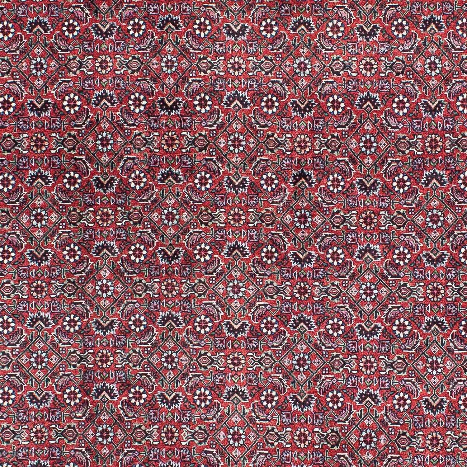 Persisk tæppe - Bijar - 216 x 128 cm - lysrød