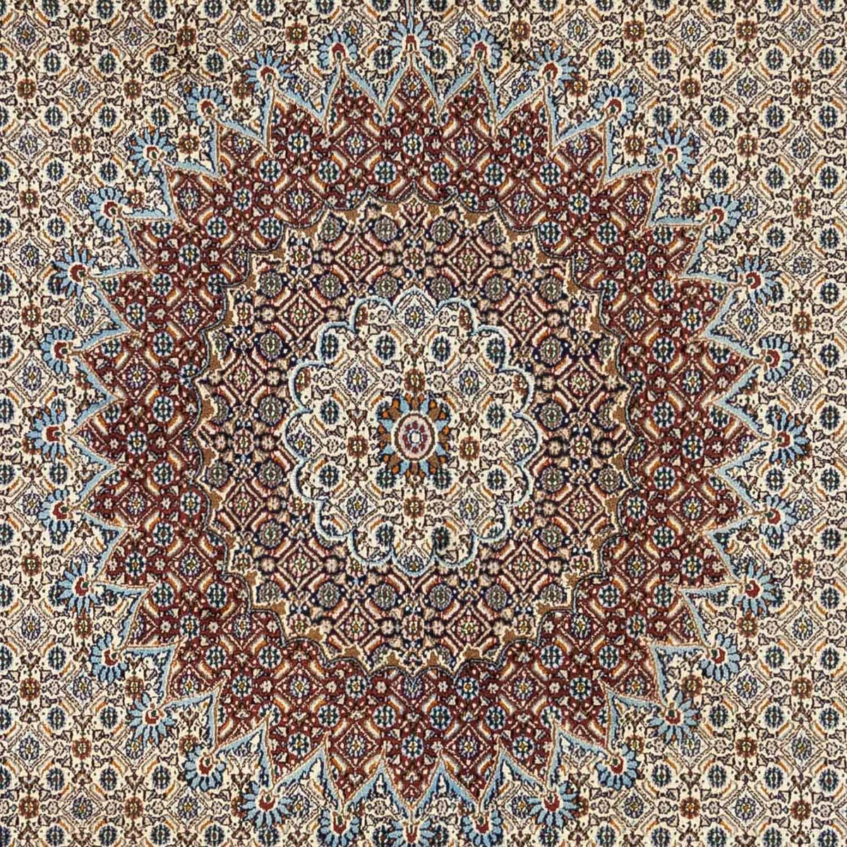 Persisk tæppe - Classic - 348 x 248 cm - beige