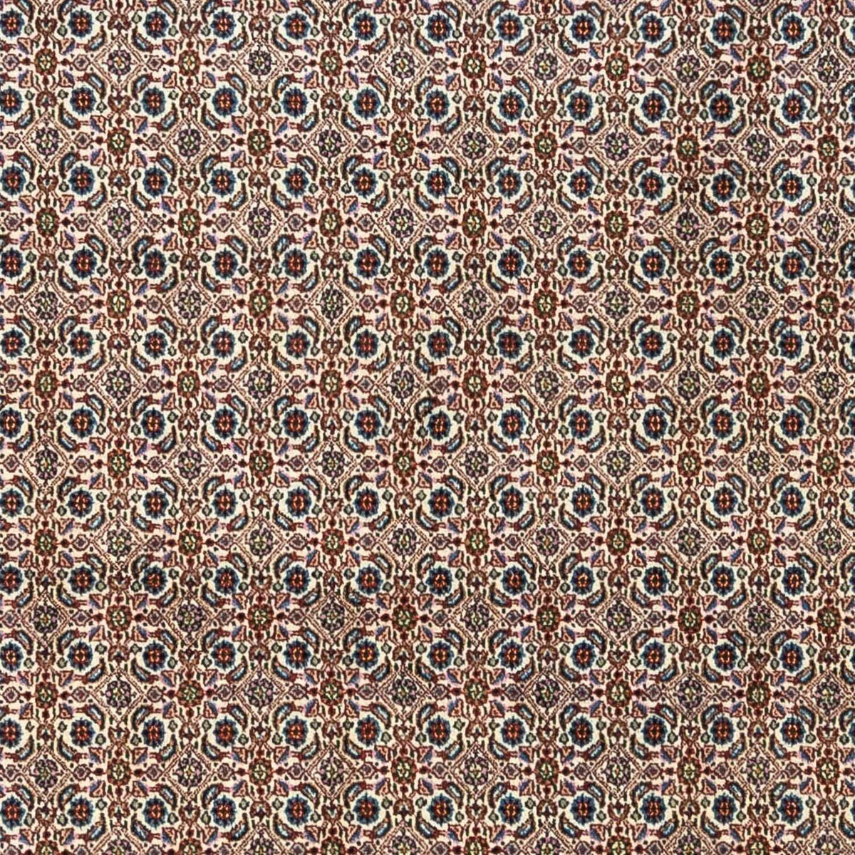 Persisk tæppe - Classic - 345 x 243 cm - beige