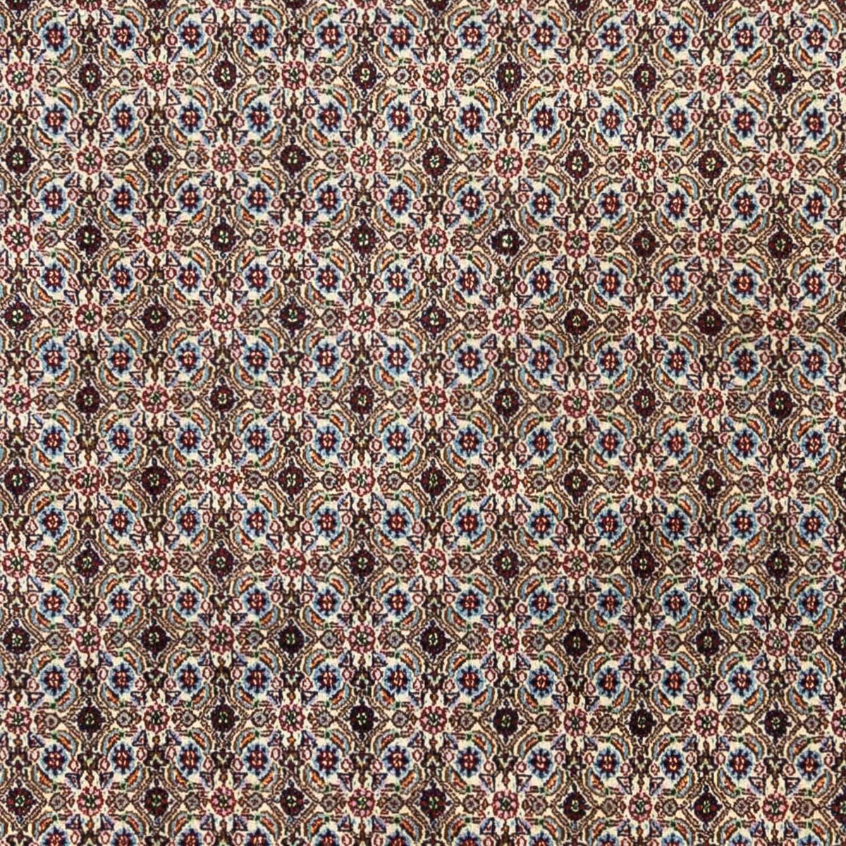 Persisk tæppe - Classic - 345 x 248 cm - beige