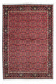 Bidjar - Zanjan Tæppe 206x140cm - Persisk tæppe