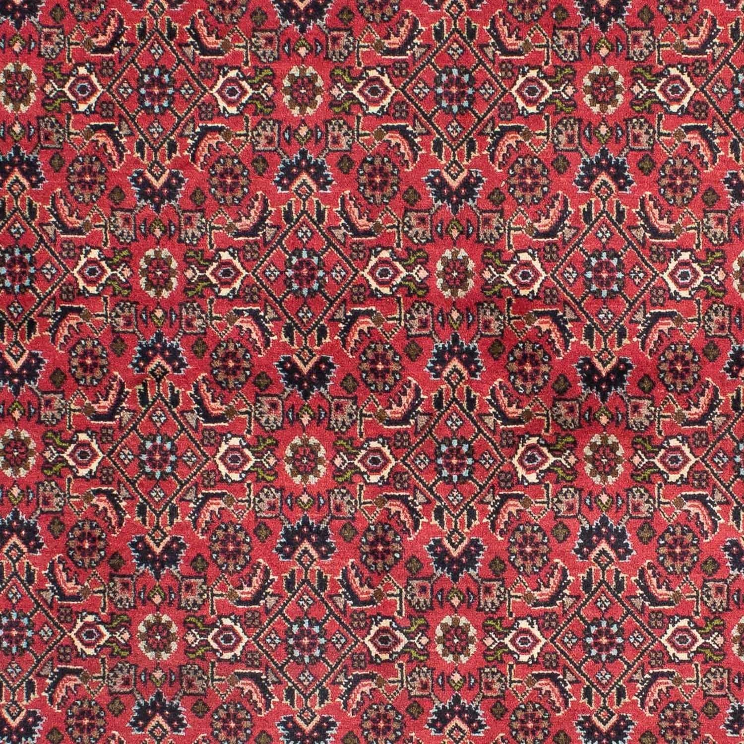 Persisk tæppe - Bijar - 206 x 140 cm - rød