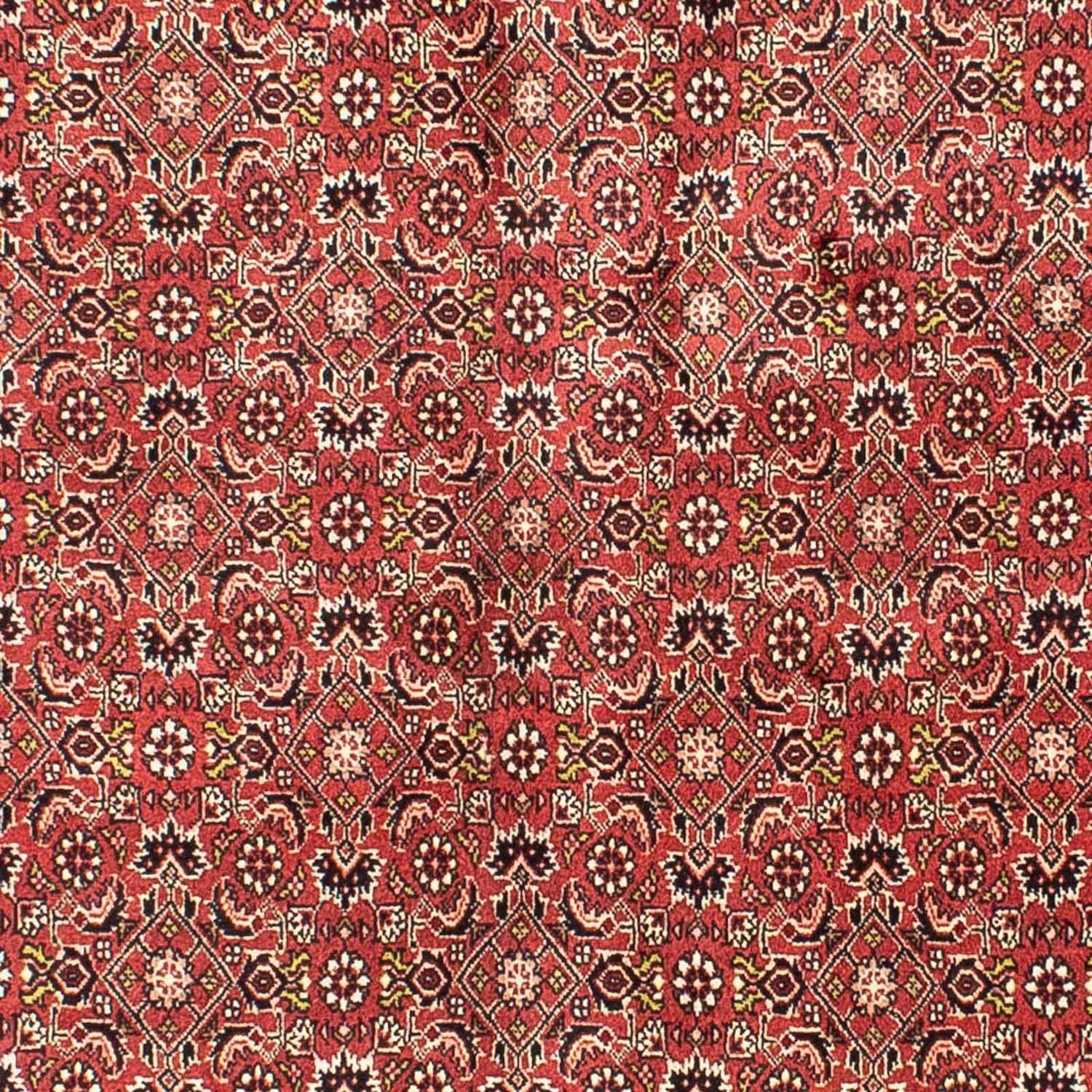 Persisk tæppe - Bijar - 205 x 141 cm - mørkerød