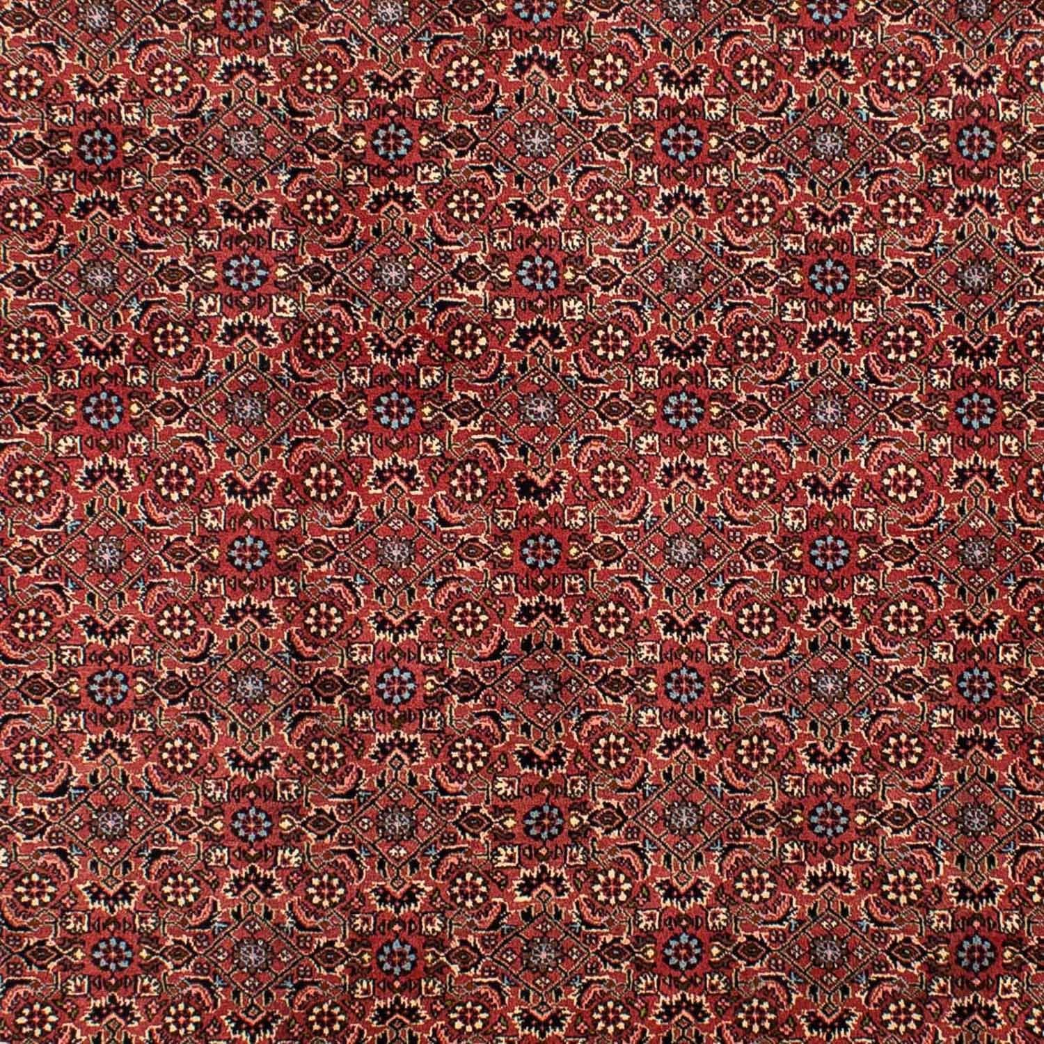 Persisk tæppe - Bijar - 300 x 200 cm - mørkerød