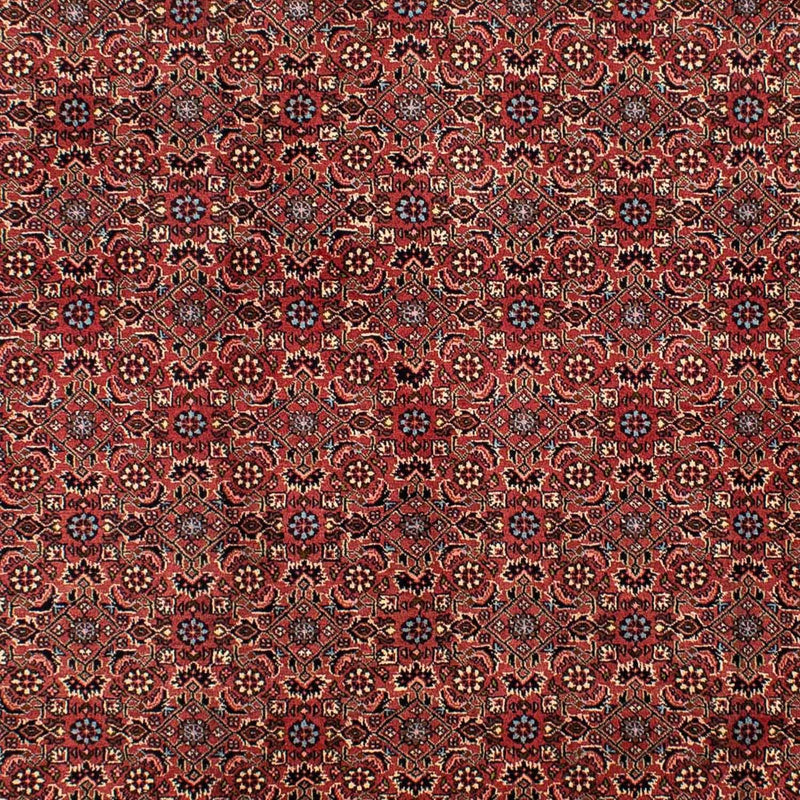 Persisk tæppe - Bijar - 300 x 200 cm - mørkerød