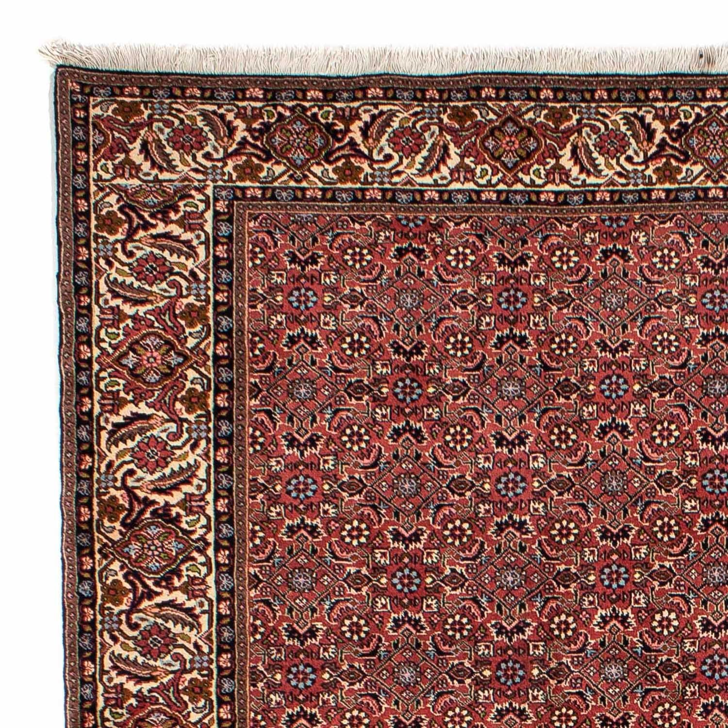 Persisk tæppe - Bijar - 300 x 200 cm - mørkerød