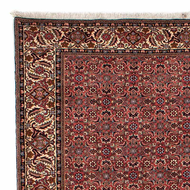 Persisk tæppe - Bijar - 300 x 200 cm - mørkerød