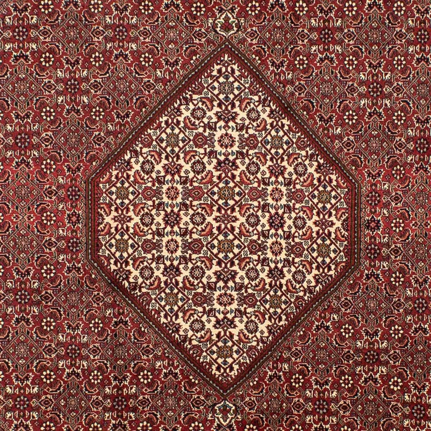 Persisk tæppe - Bijar - 295 x 204 cm - brun