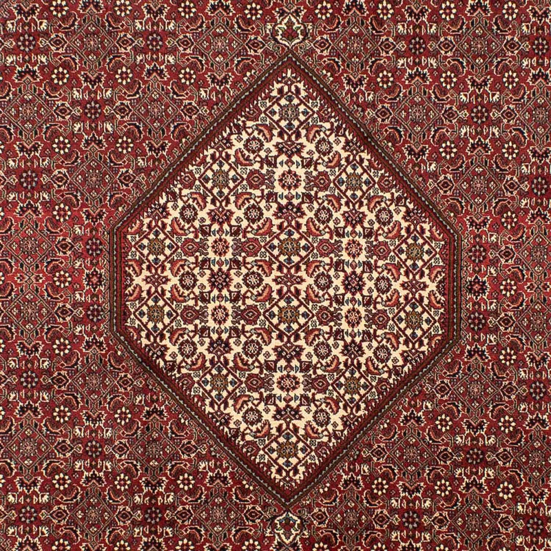 Persisk tæppe - Bijar - 295 x 204 cm - brun