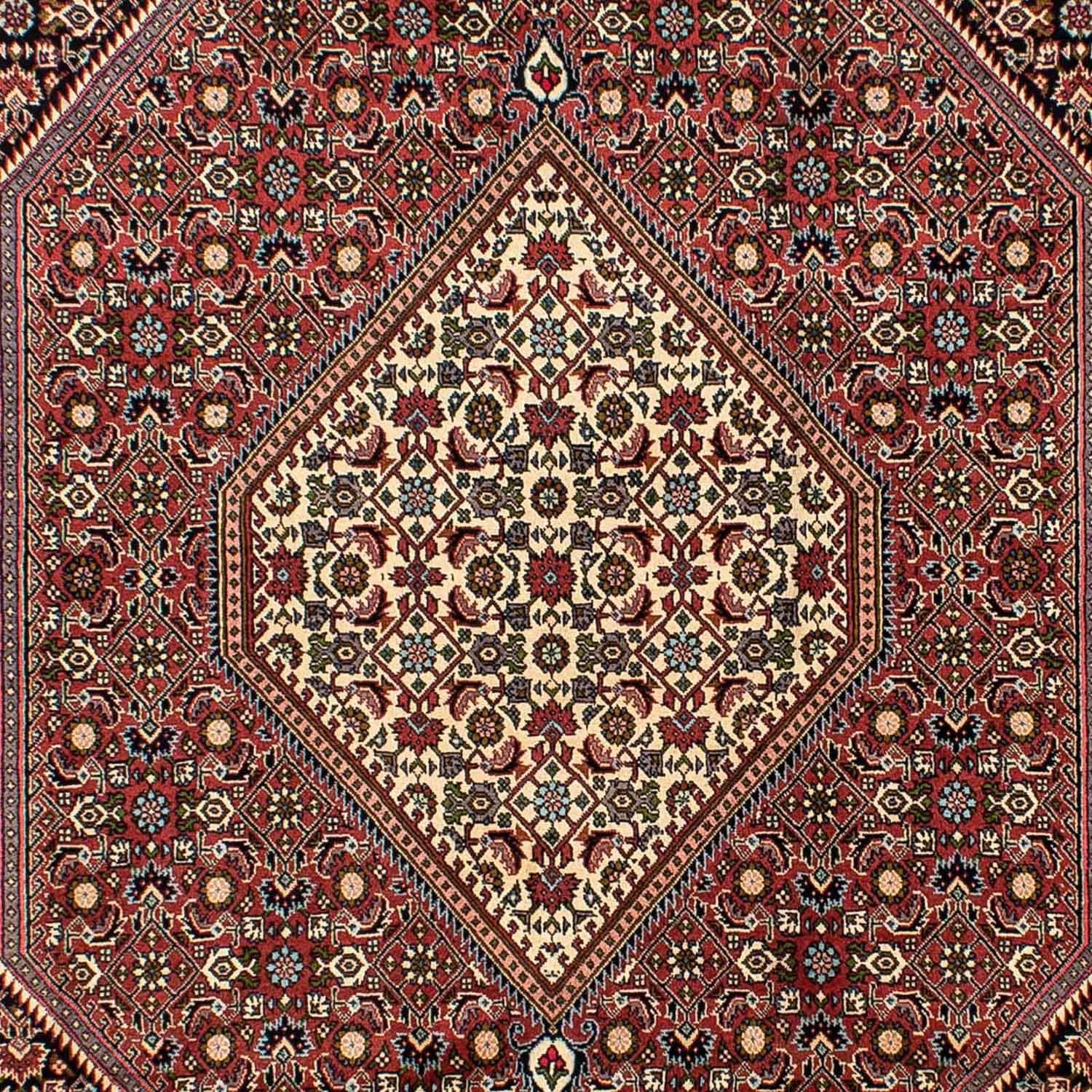 Persisk tæppe - Bijar - 291 x 196 cm - lysrød