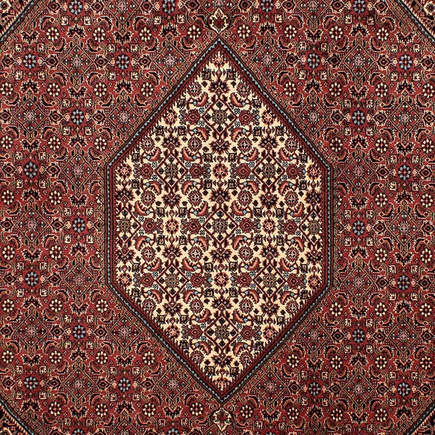 Persisk tæppe - Bijar - 298 x 206 cm - brun