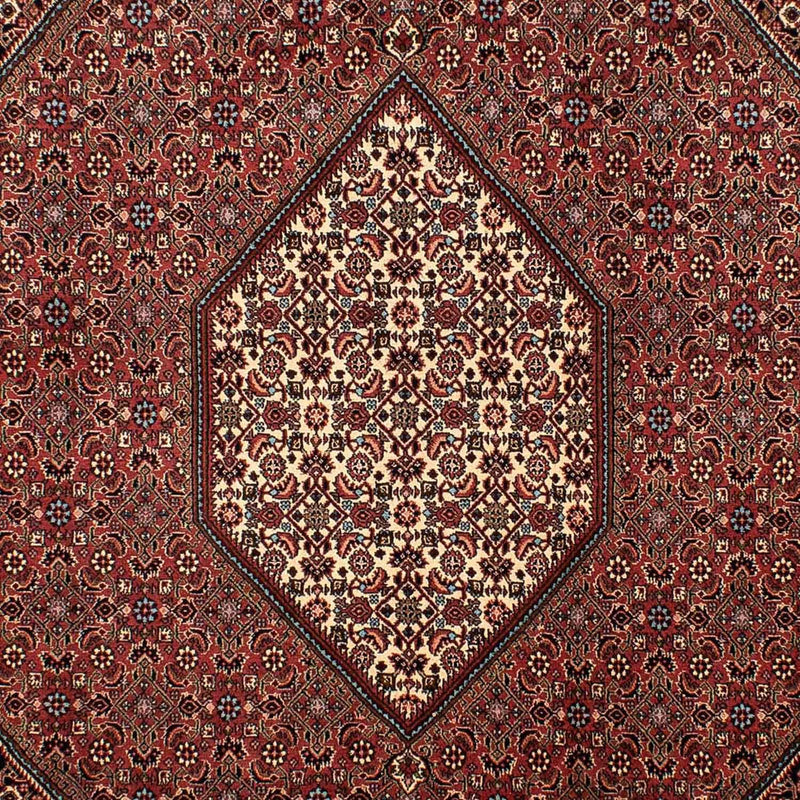 Persisk tæppe - Bijar - 298 x 206 cm - brun