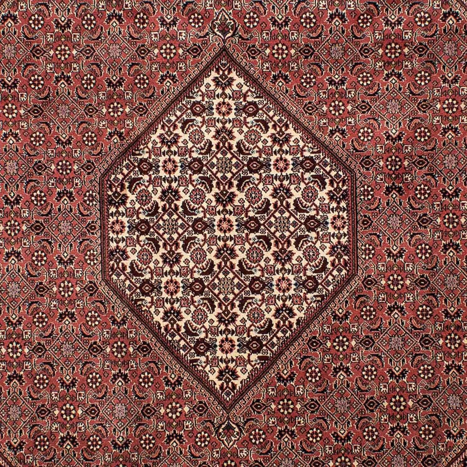 Persisk tæppe - Bijar - 308 x 204 cm - brun