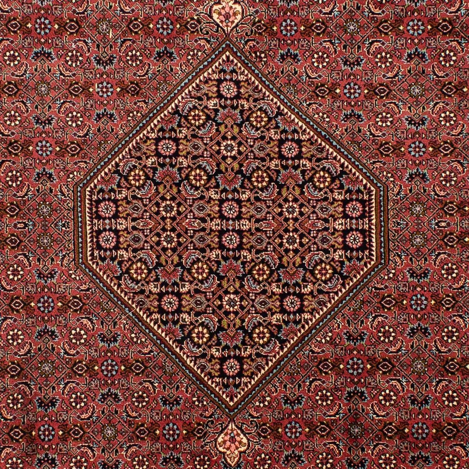Persisk tæppe - Bijar - 321 x 197 cm - brun
