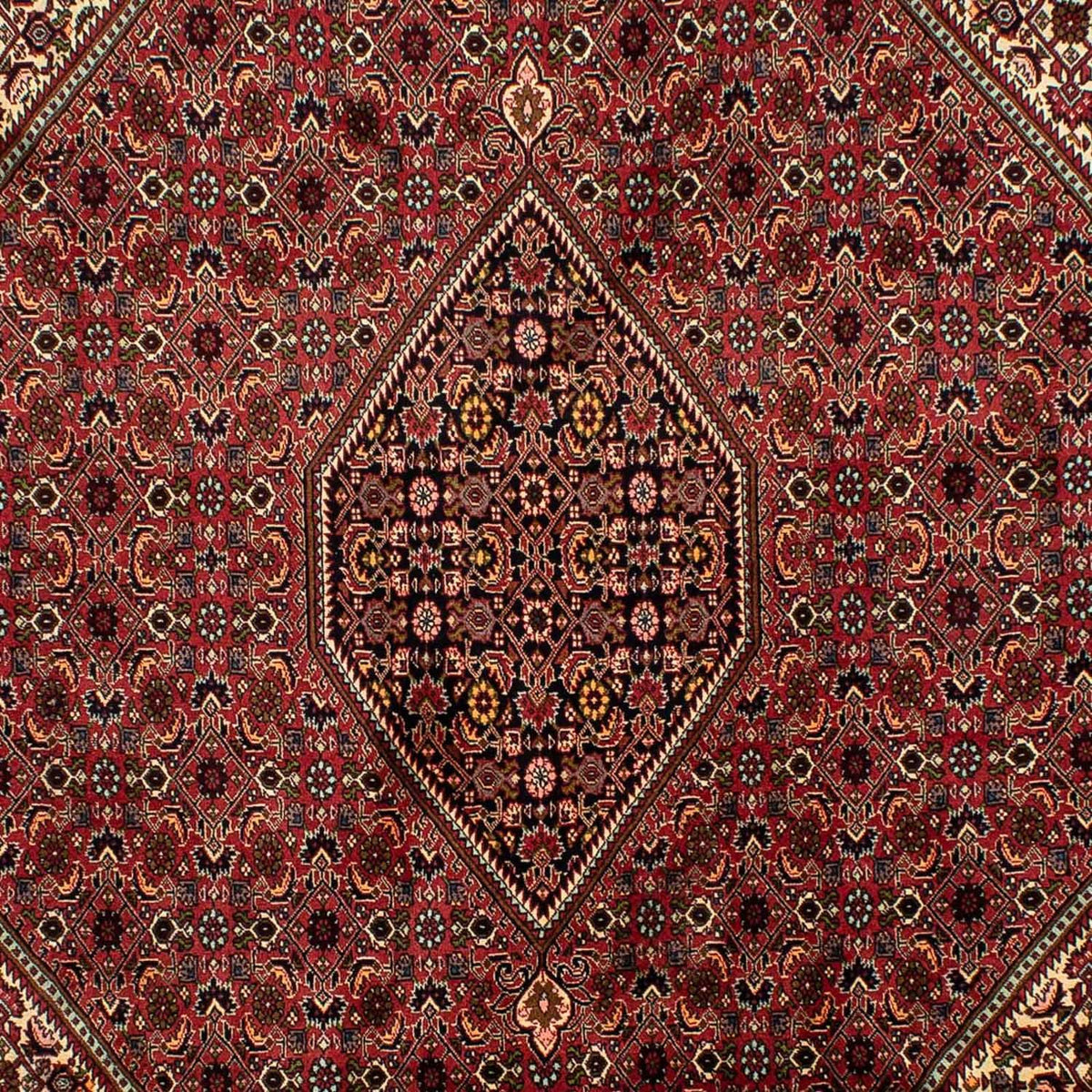 Persisk tæppe - Bijar - 305 x 200 cm - brun