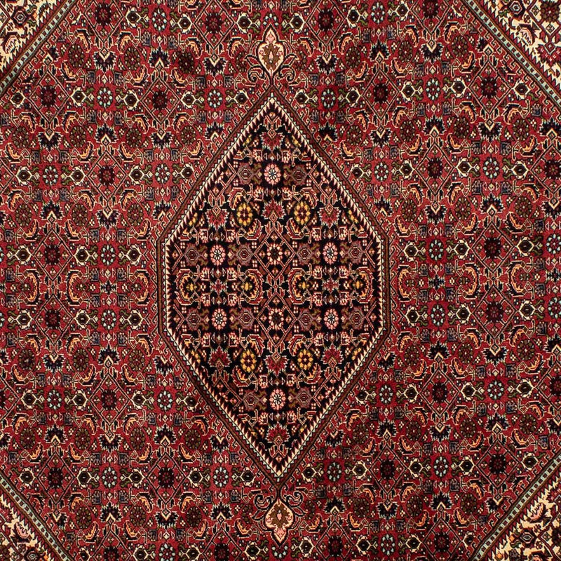 Persisk tæppe - Bijar - 305 x 200 cm - brun