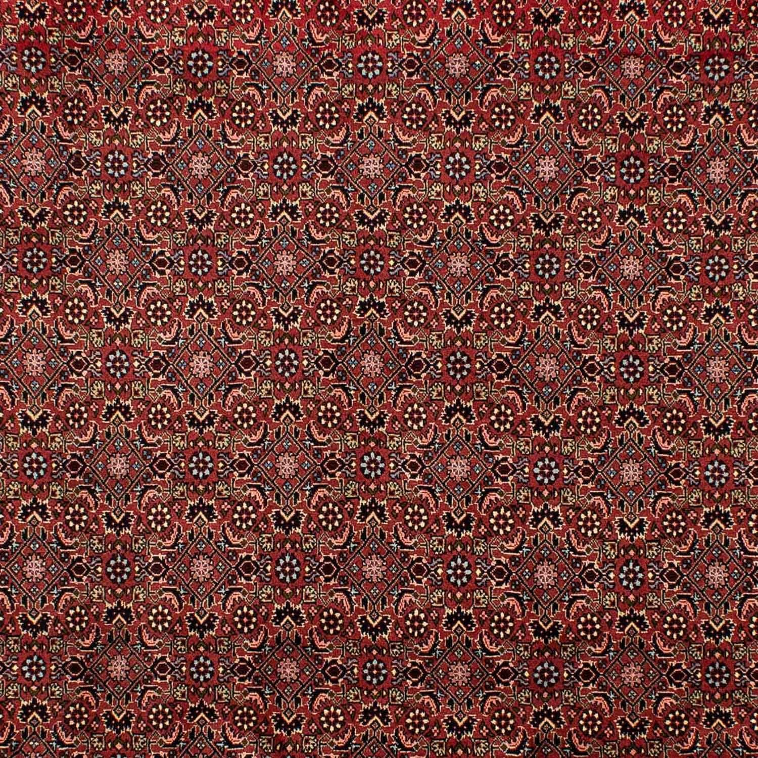 Persisk tæppe - Bijar - 298 x 198 cm - mørkerød