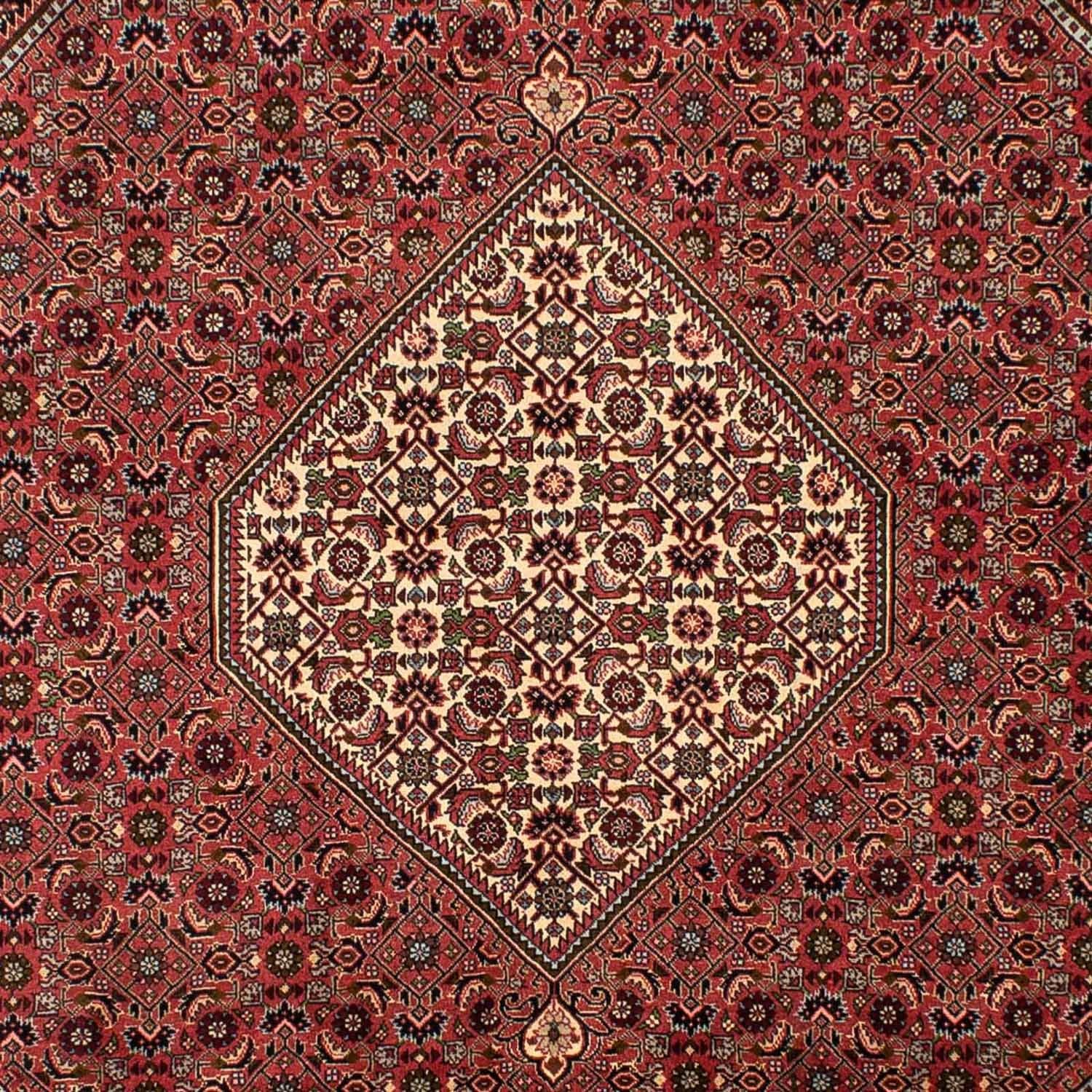 Persisk tæppe - Bijar - 308 x 200 cm - lysrød